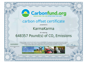 20220207_Carbon offset_2021